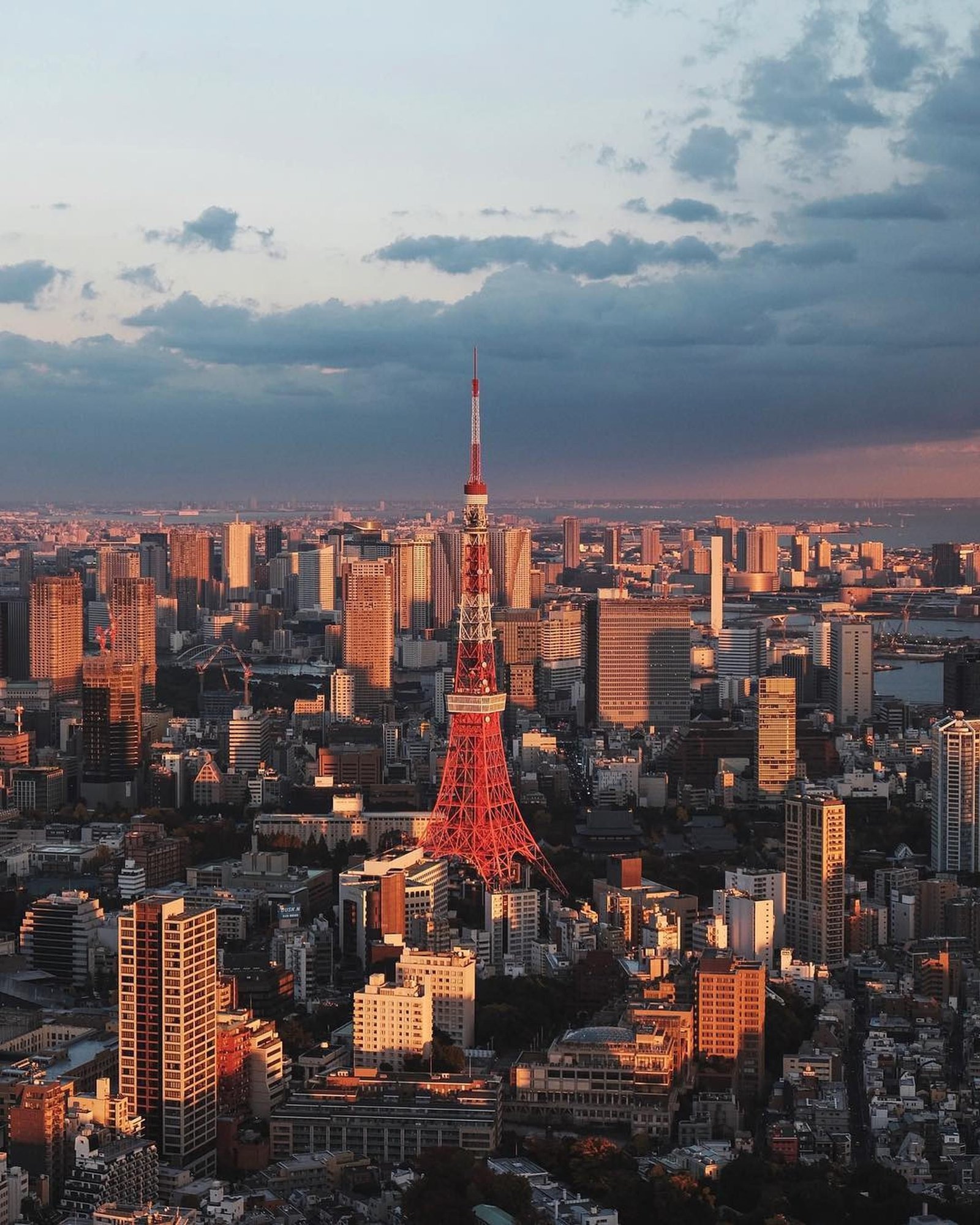 Japan for Culture Lovers: A 7‑Day Intro Itinerary